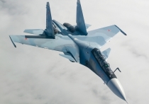 Российский пилот уничтожил украинский истребитель, атаковавший Белгород, сообщили подпольщики, действующие на Украине