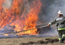 В Ленобласти произошел пожар днем 14 мая. Это случилось в поселке Горьковское, сообщили в пресс-службе ГУ МЧС России по региону.