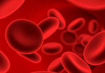 Потерявшие кровь пациенты могут сами стать себе донорами