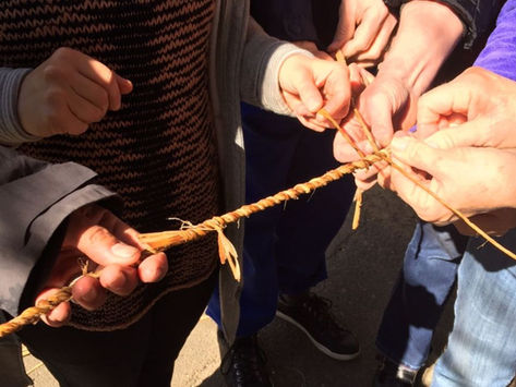 Learning to Make Cordage from Dogbane