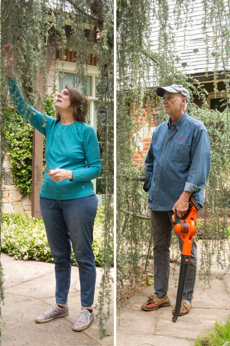 in side-by-side photos, a retired couple stand next to a willow tree in their yard.
