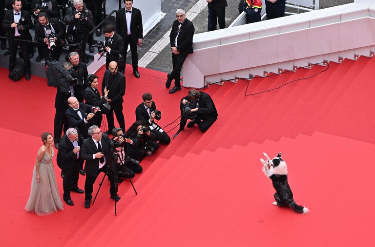 Messi obliged the cameras on opening night at Cannes.